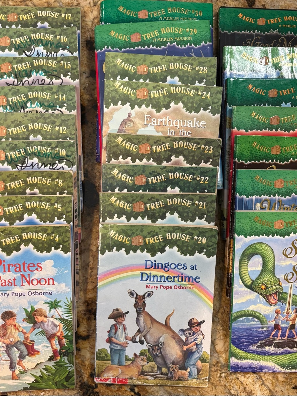 Magic Tree House Book Set - Green Covers